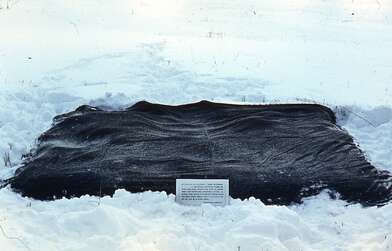 Collective action Sound Perspectives. Photo - 30