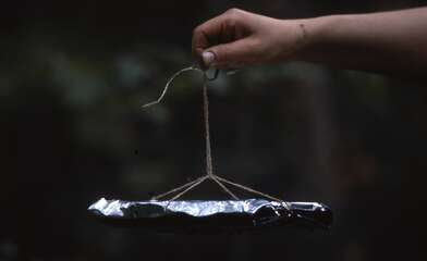 Collective action Library. Photo - 25