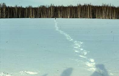 Акция КД 10 Появлений. Фотография - 75