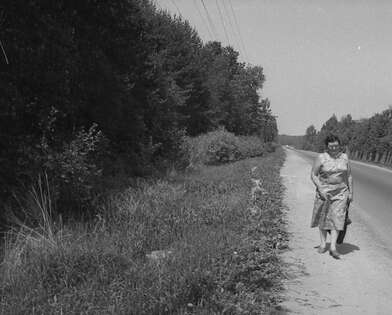 Collective action To V. Nekrasov. Photo - 2