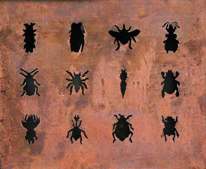 Елена Елагина. Железная муха