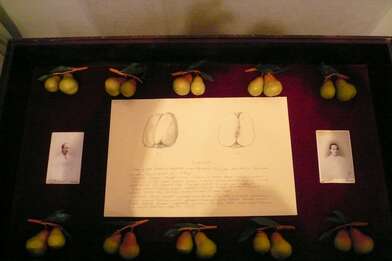 Michurin&#039;s Girls. Photo - 0