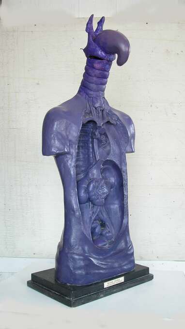 Игорь Макаревич. Человек-птица