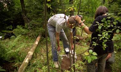 Collective action Library. Photo - 56