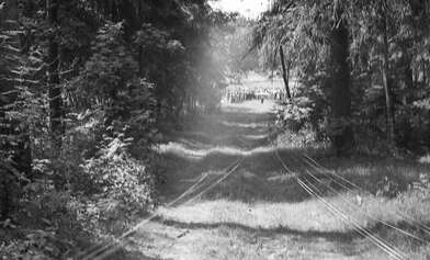 Collective action Division. Photo - 12