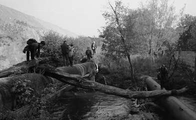 Collective action Likhoborka. Photo - 27