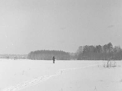 Collective action Observing the Waterfall. Photo - 29