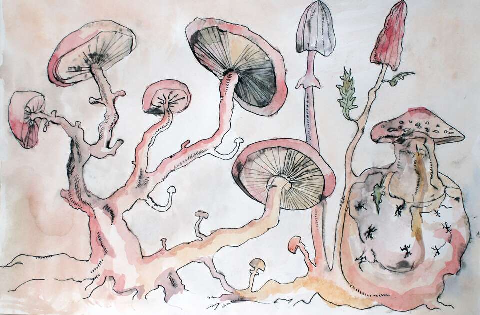 Elena Elagina. Artwork Mushrooms