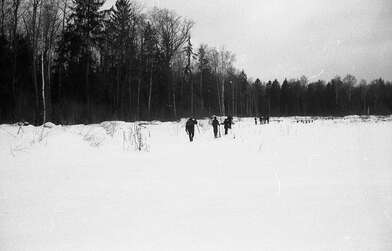 Collective action 83. Photo - 87