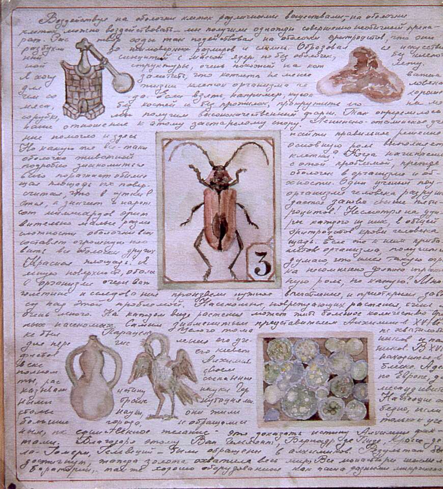 Elena Elagina. Artwork Lepeshinskaya&#039;s Manuscript