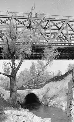 Collective action Likhoborka. Photo - 22