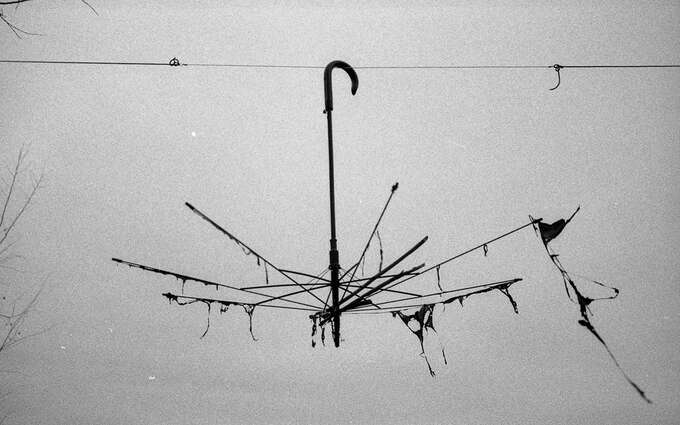 On the Clearing, November 16, 2002