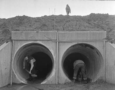 Акция КД Встреча. Фотография - 44