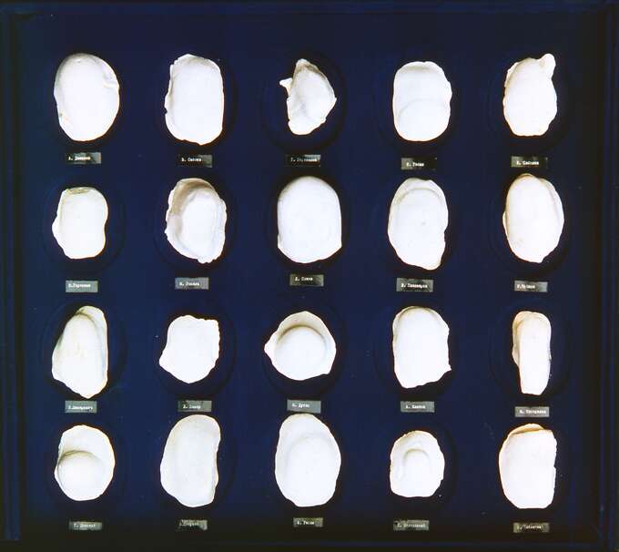 Игорь Макаревич. Футляр с дактилоскопическими оттисками