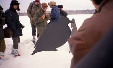 Collective action Negatives. Photo - 14