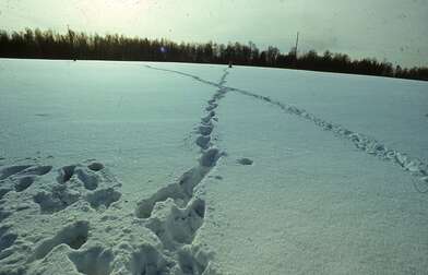 Акция КД 10 Появлений. Фотография - 12