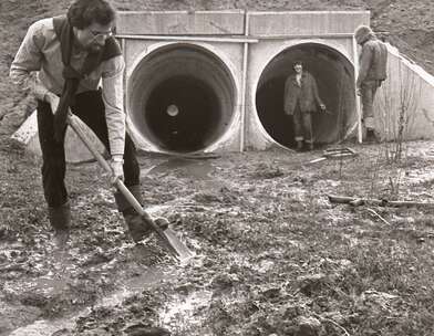 Акция КД Встреча. Фотография - 34