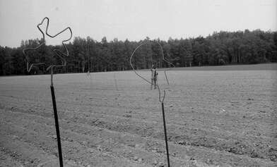 Акция КД Выстрел. Фотография - 55