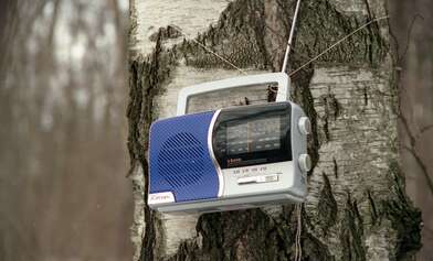 Collective action 83. Photo - 53