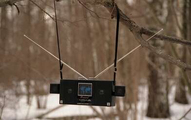 Collective action 83. Photo - 46