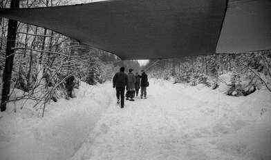 Collective action 625-520. Photo - 102