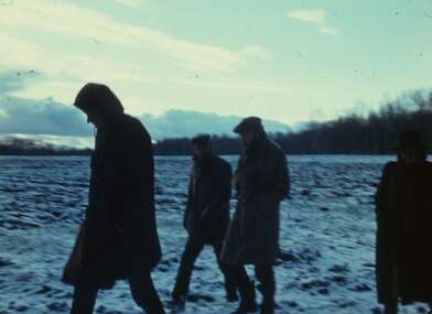 Акция КД Ворот. Фотография - 7