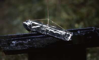 Collective action Library. Photo - 26