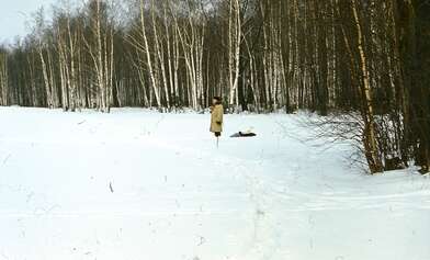 Collective action Description of Action. Photo - 23