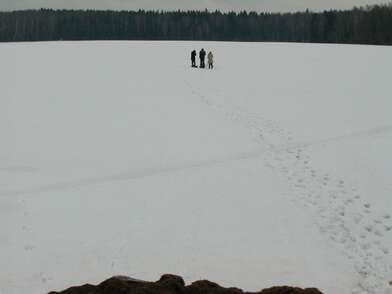 Collective action Flight to the Saturn. Photo - 47