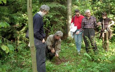 Collective action The Sack. Photo - 57