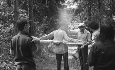 Collective action Division. Photo - 4