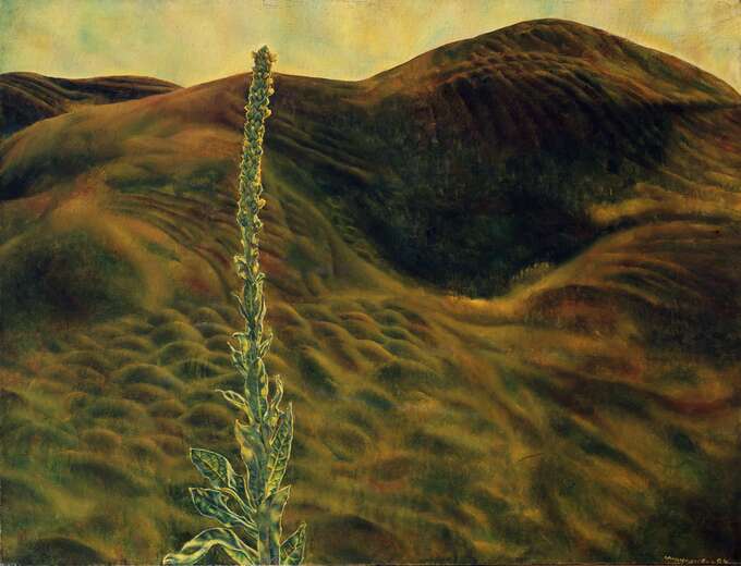 Игорь Макаревич. Холмы