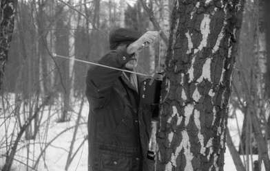 Collective action 83. Photo - 99