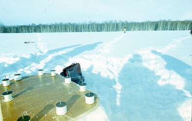 Акция КД 10 Появлений. Фотография - 38