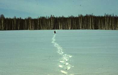 Акция КД 10 Появлений. Фотография - 76