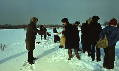 Collective action Observing the Waterfall. Photo - 71