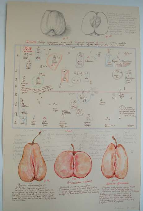 Игорь Макаревич. Девушки Мичурина