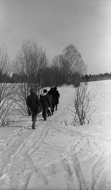 Collective action Observing the Waterfall. Photo - 4