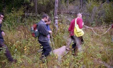 Collective action The Sack. Photo - 23