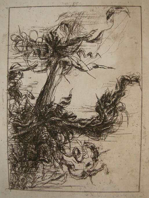 Игорь Макаревич. Листья травы