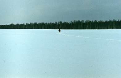 Collective action Description of Action. Photo - 27