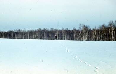 Акция КД 10 Появлений. Фотография - 39