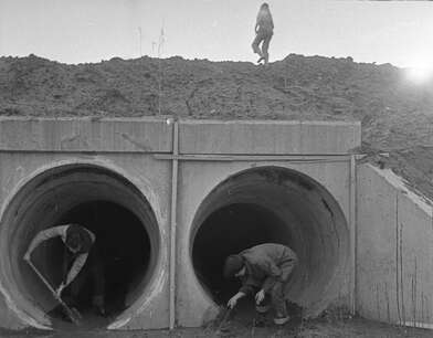 Акция КД Встреча. Фотография - 43