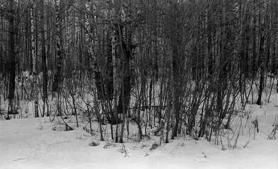 Акция КД За КД — 2. Фотография - 34