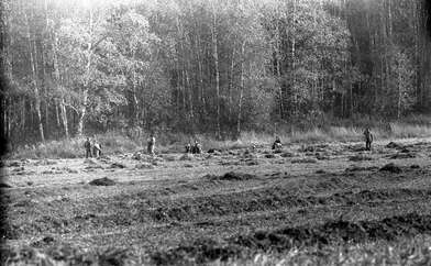 Акция КД М. Фотография - 74