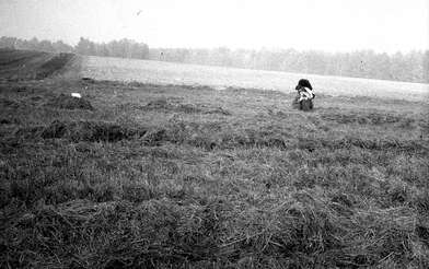 Акция КД М. Фотография - 83