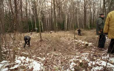 Collective action On the Clearing. Photo - 15