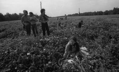 Акция КД Выстрел. Фотография - 32