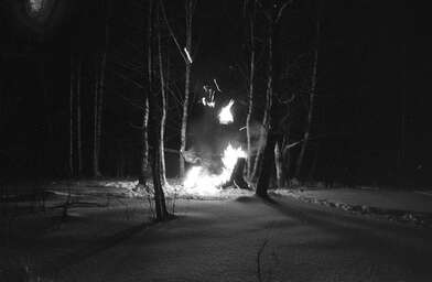 Collective action To Panitkov. Photo - 99