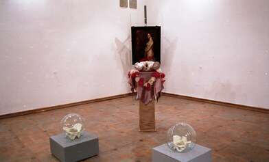 Выставка Девушки и смерть. Фотография - 6